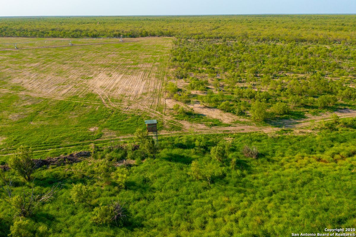 0 Fm 1688 Crystal City TX 78839