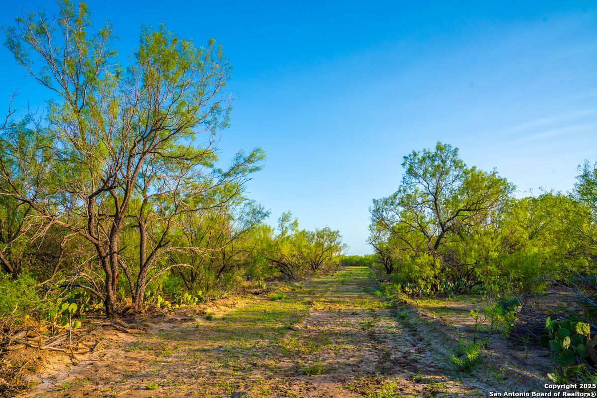 0 Fm 1688 Crystal City TX 78839