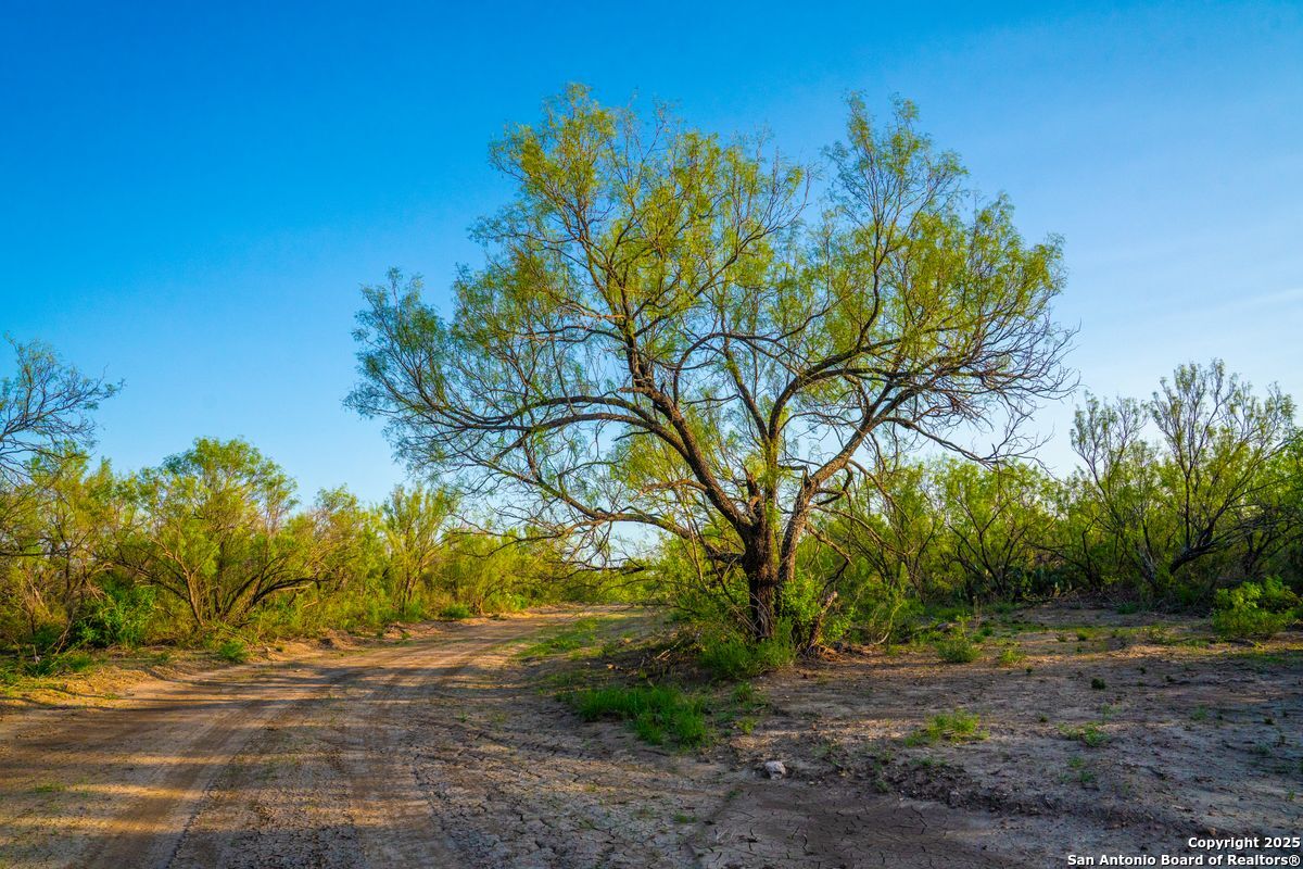 0 Fm 1688 Crystal City TX 78839