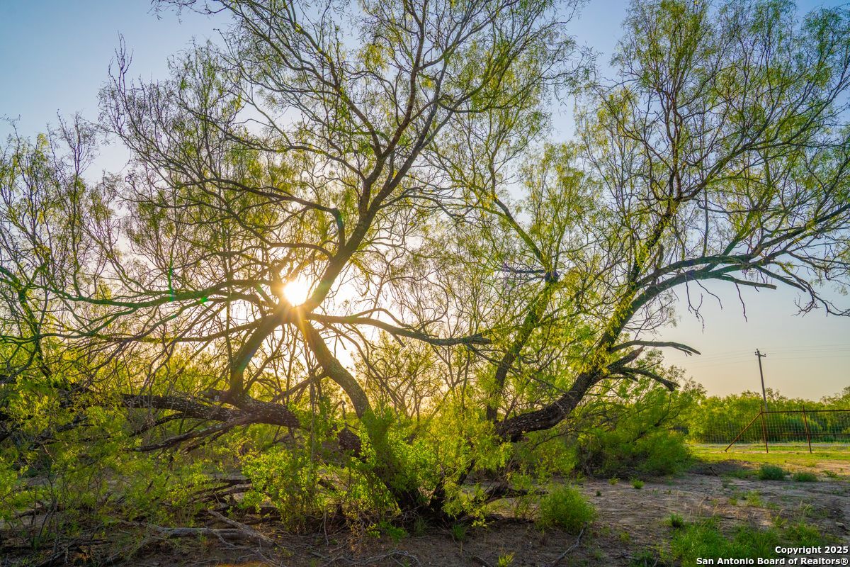 0 Fm 1688 Crystal City TX 78839