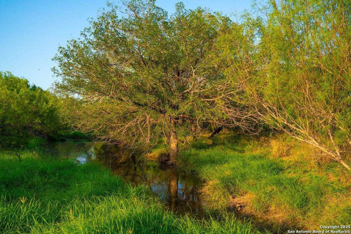 0 Fm 1688 Crystal City TX 78839