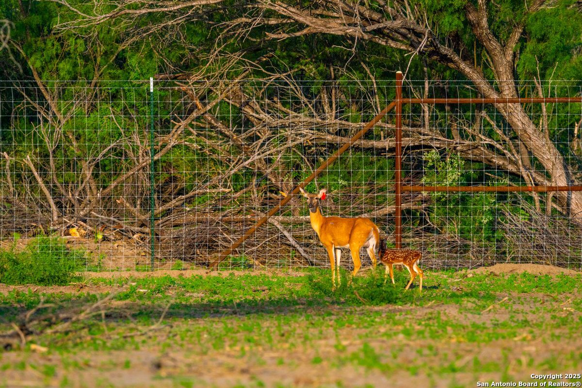 0 Fm 1688 Crystal City TX 78839