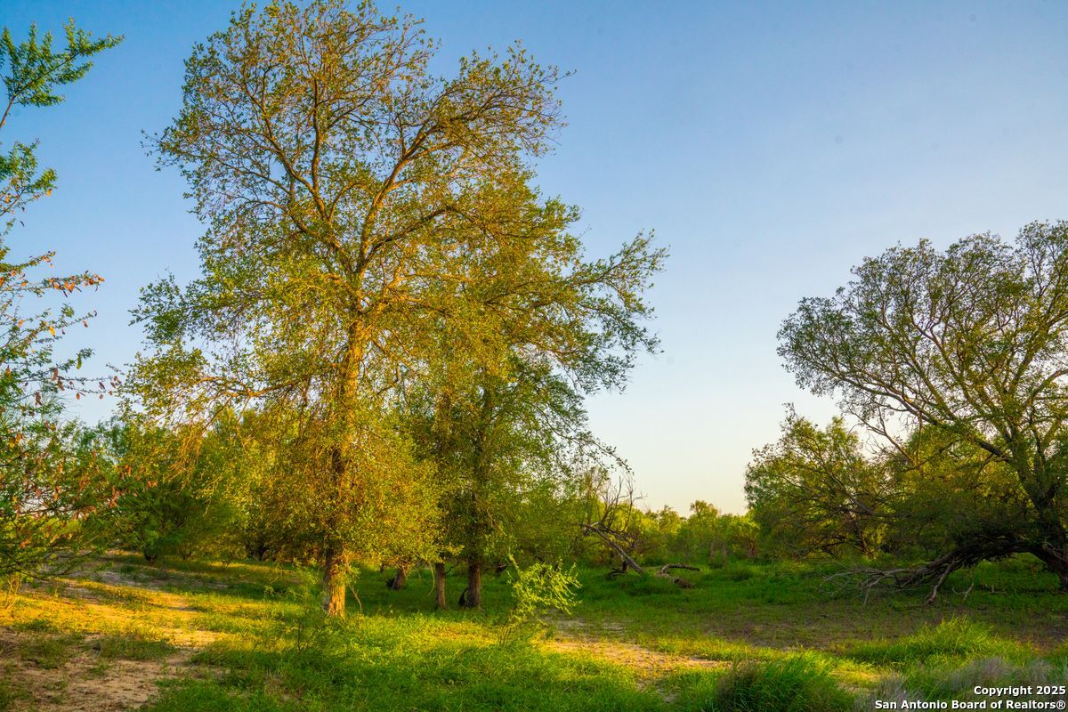 0 Fm 1688 Crystal City TX 78839