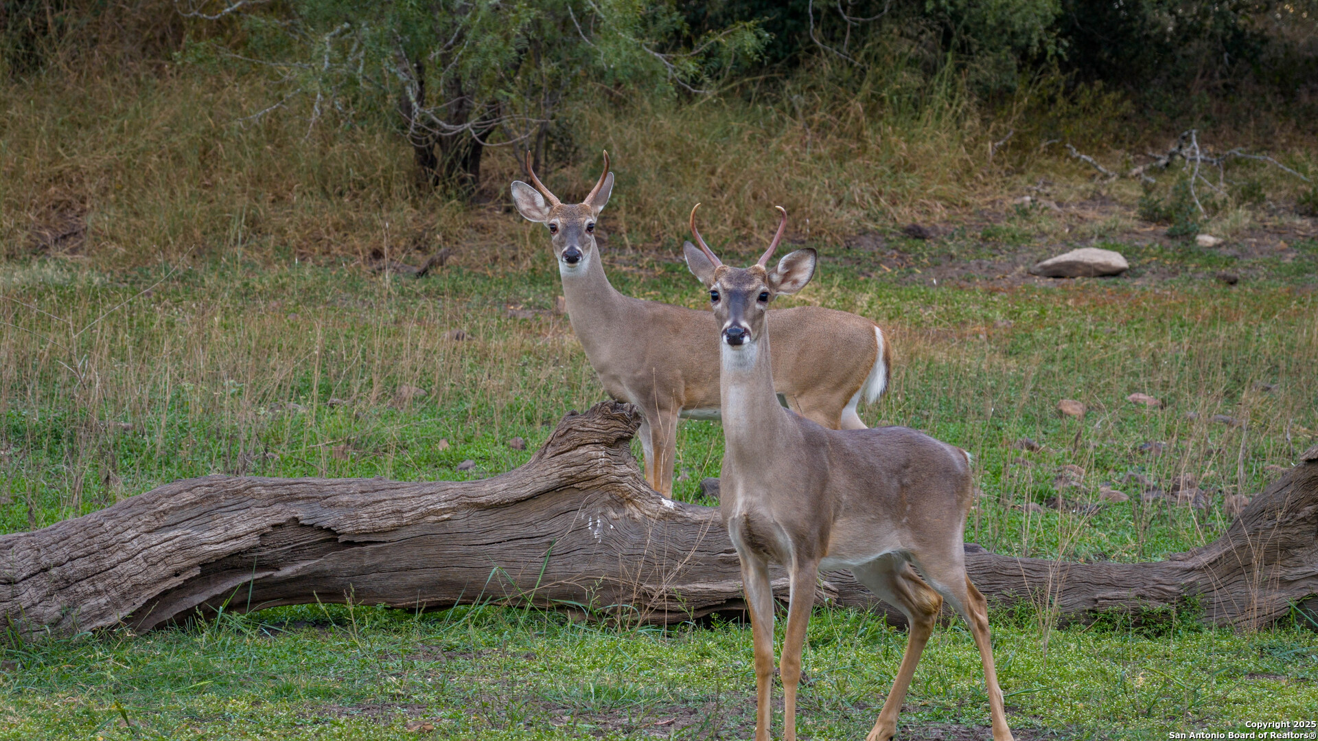 28084 Delafield New Braunfels TX 78132