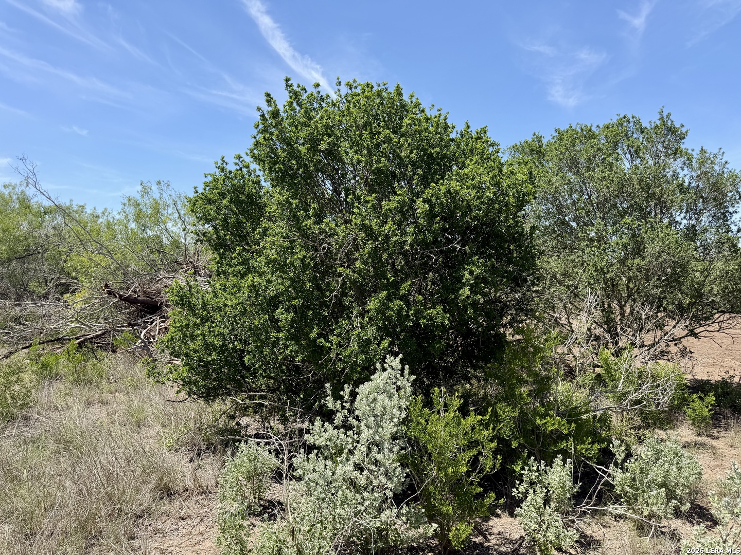100 County Road 147 George West TX 78022