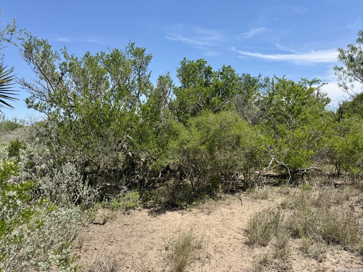 100 County Road 147 George West TX 78022