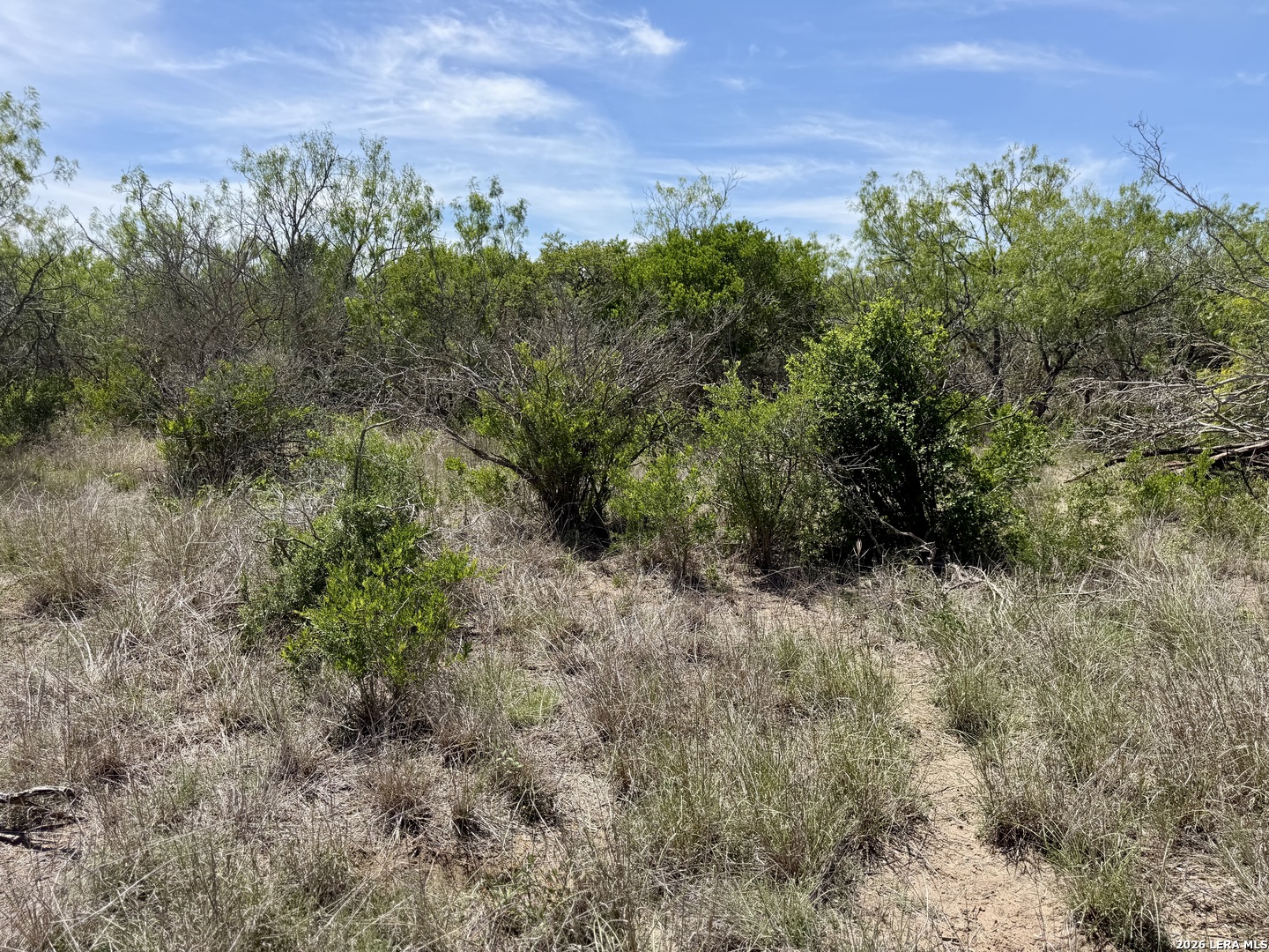 100 County Road 147 George West TX 78022