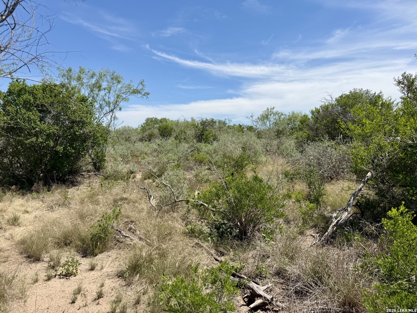 100 County Road 147 George West TX 78022