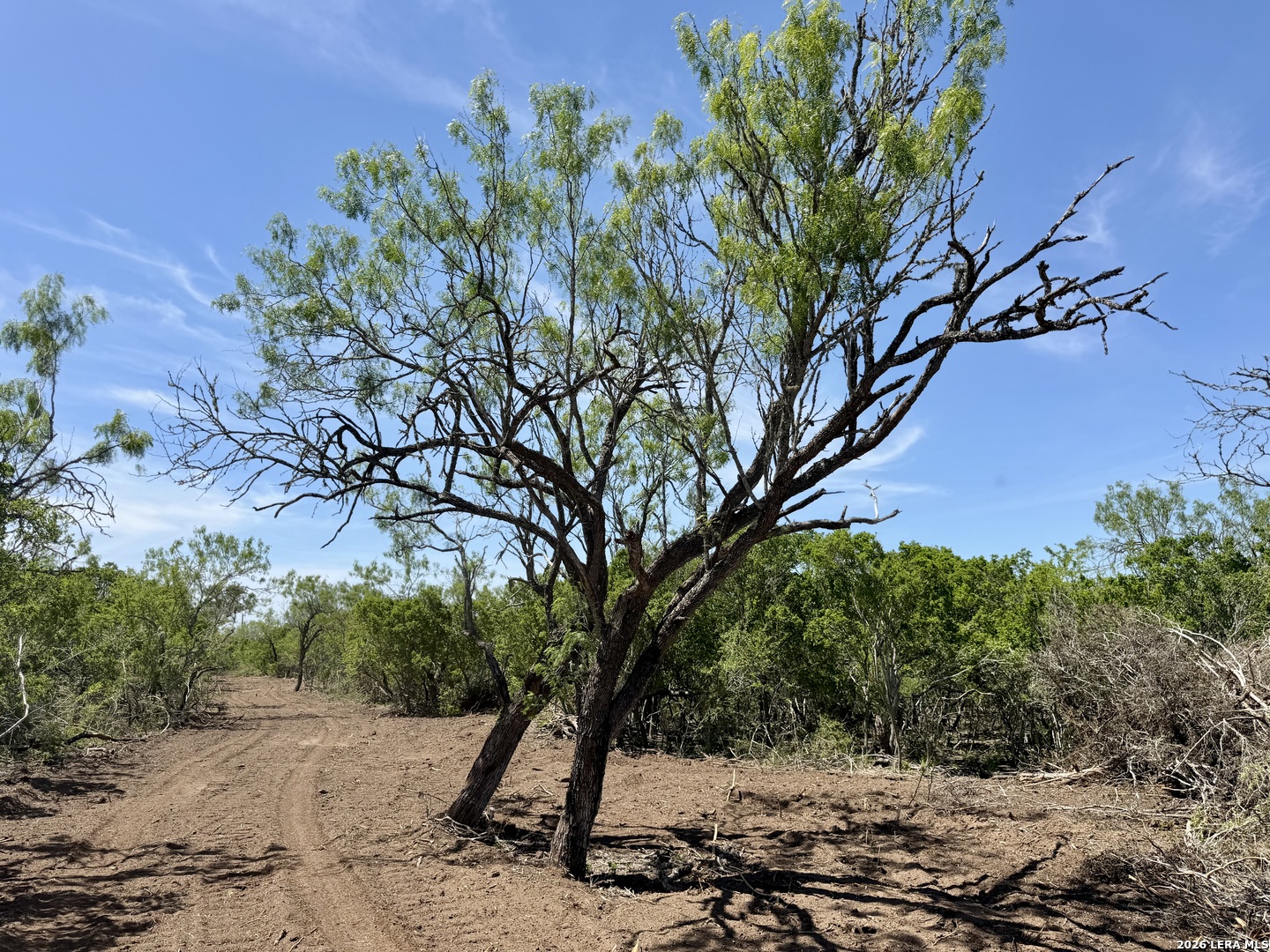 100 County Road 147 George West TX 78022