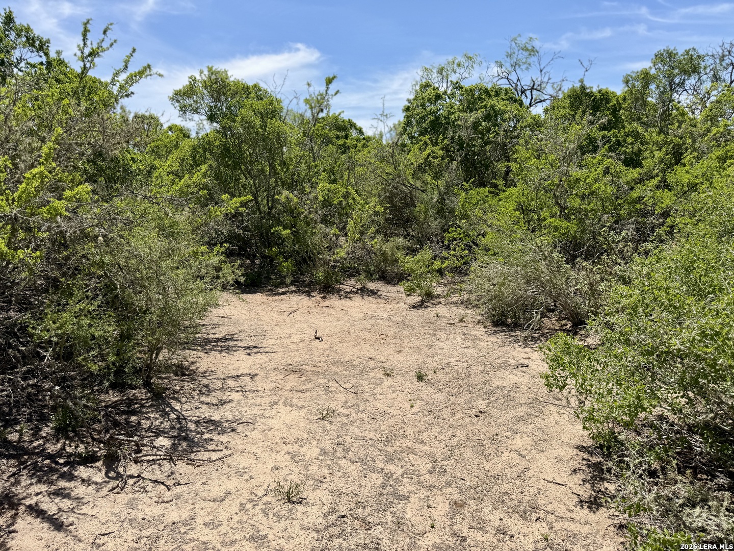 100 County Road 147 George West TX 78022