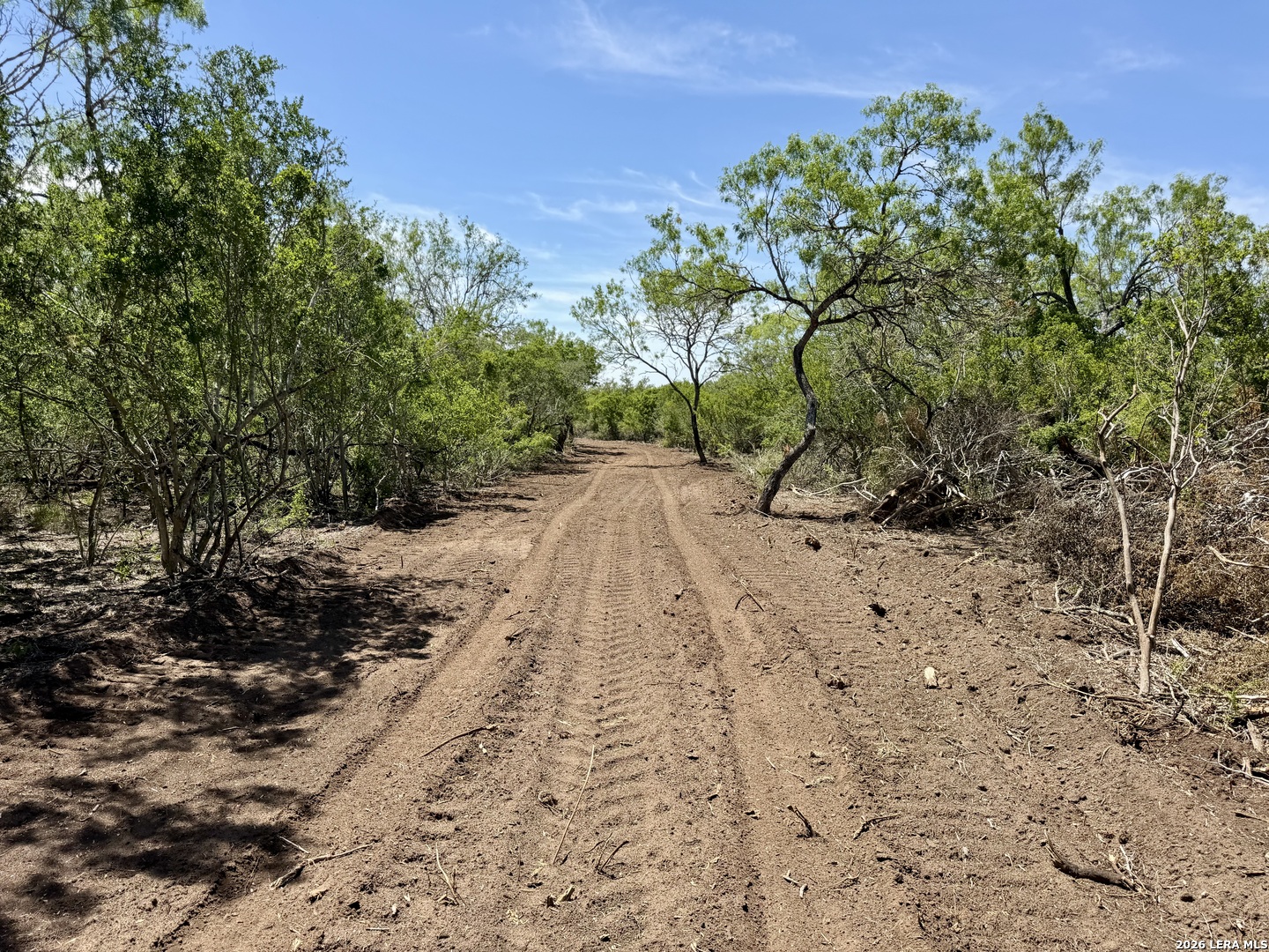 100 County Road 147 George West TX 78022