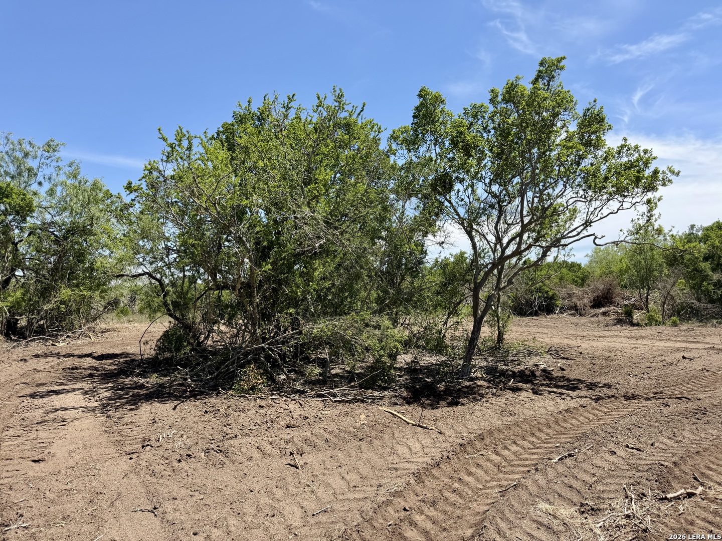 100 County Road 147 George West TX 78022