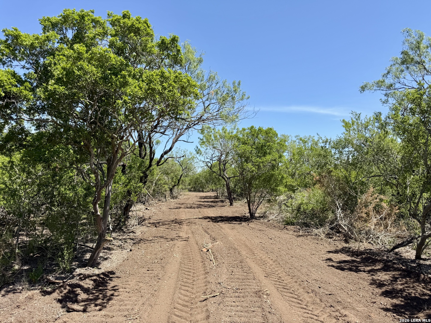 100 County Road 147 George West TX 78022