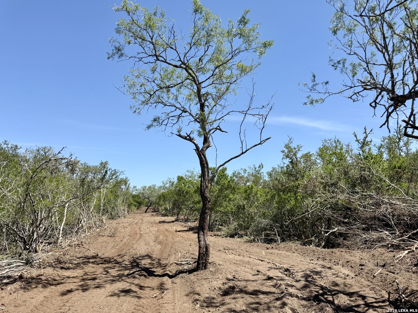 100 County Road 147 George West TX 78022