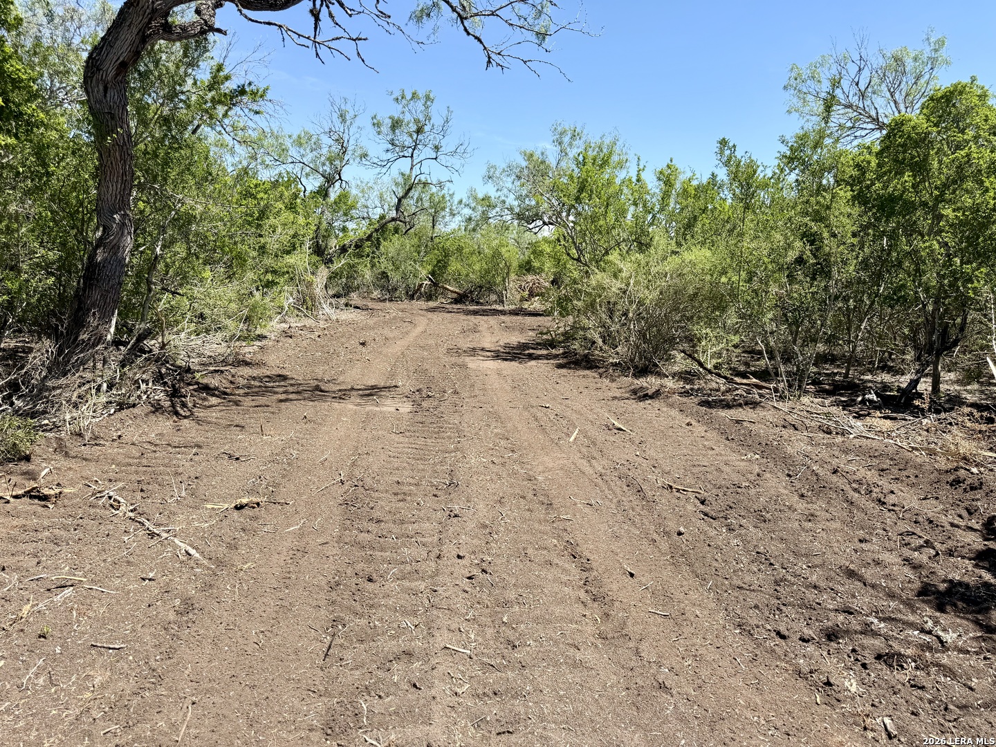 100 County Road 147 George West TX 78022