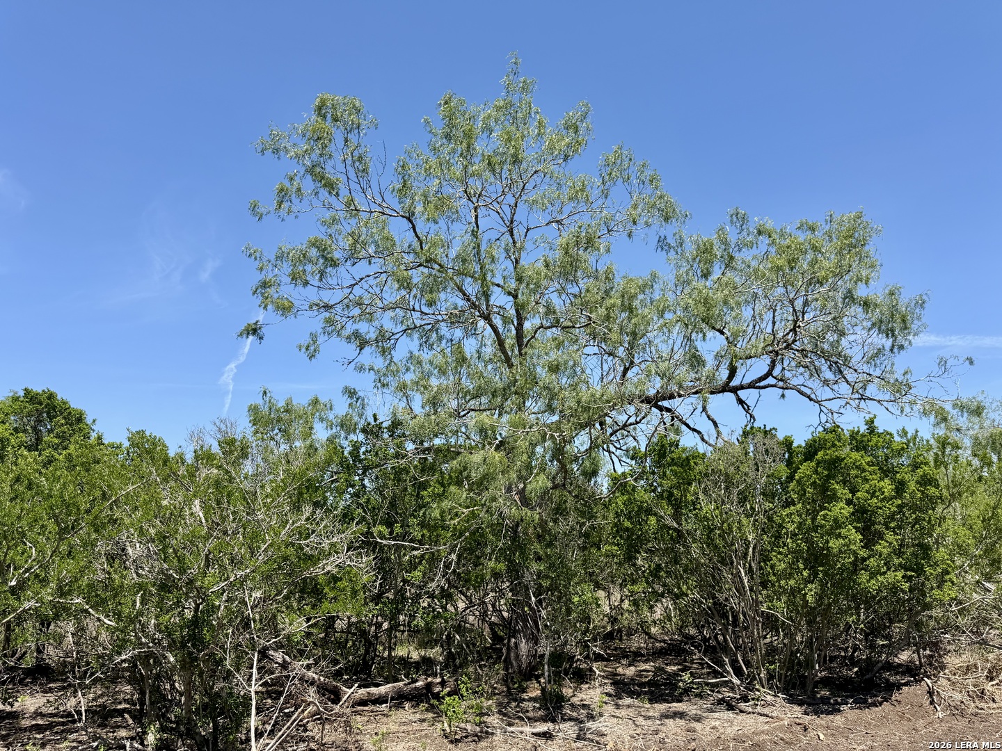 100 County Road 147 George West TX 78022