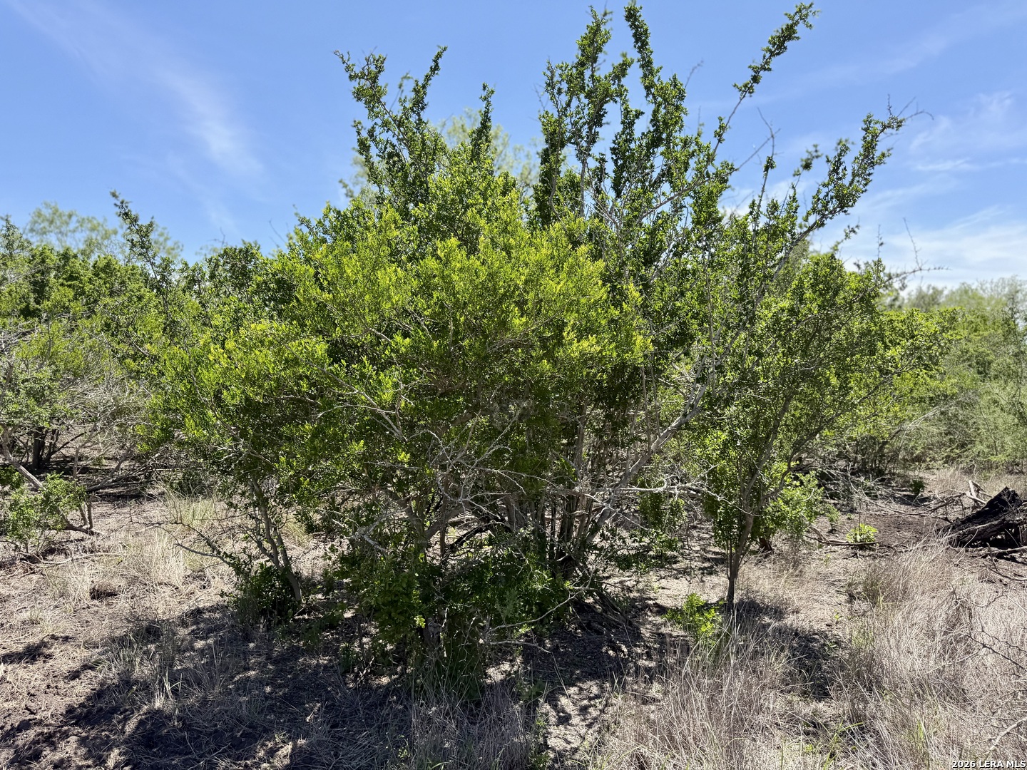 100 County Road 147 George West TX 78022