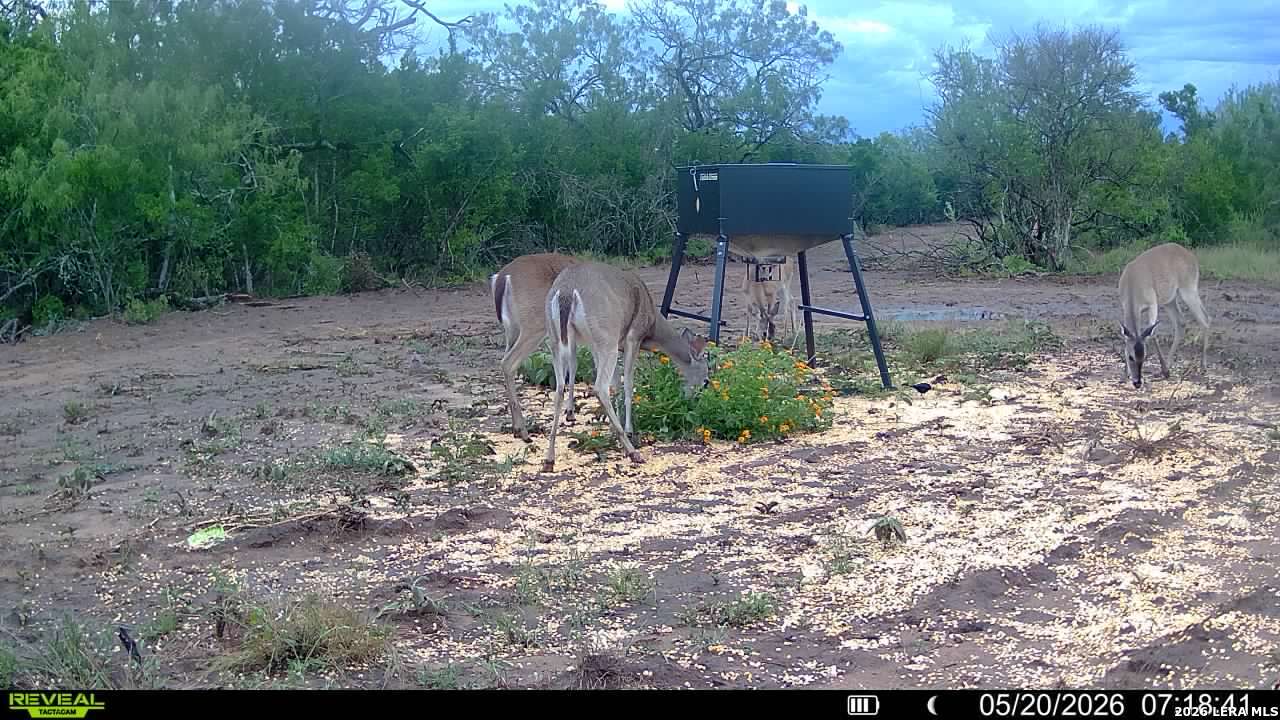 100 County Road 147 George West TX 78022