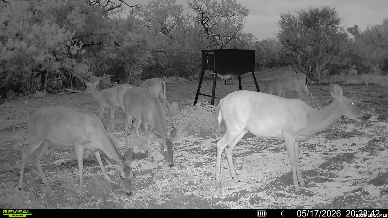 100 County Road 147 George West TX 78022