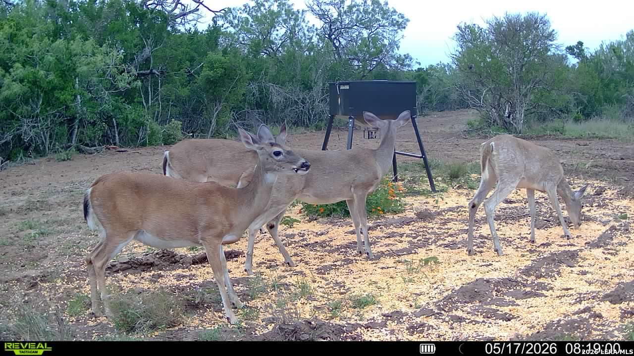 100 County Road 147 George West TX 78022