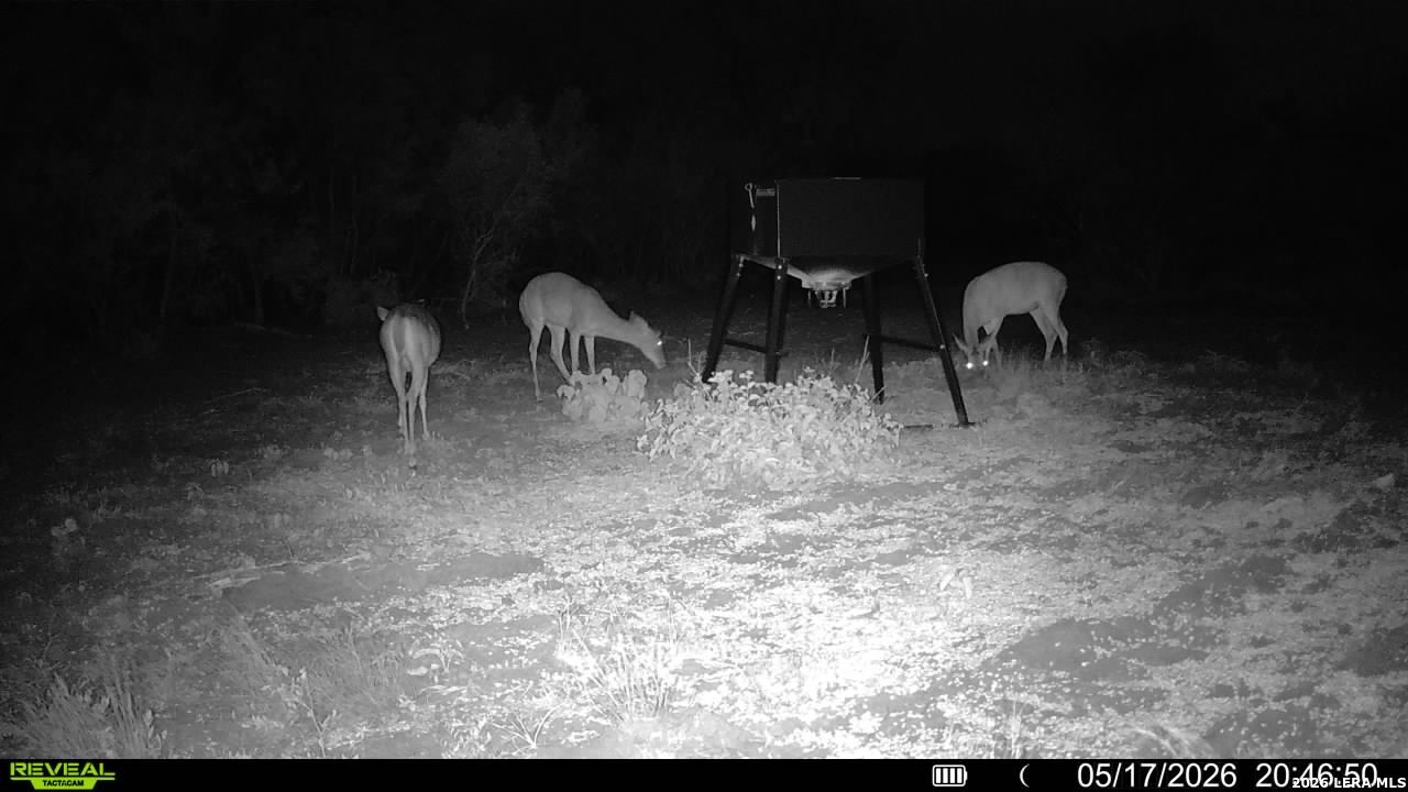 100 County Road 147 George West TX 78022