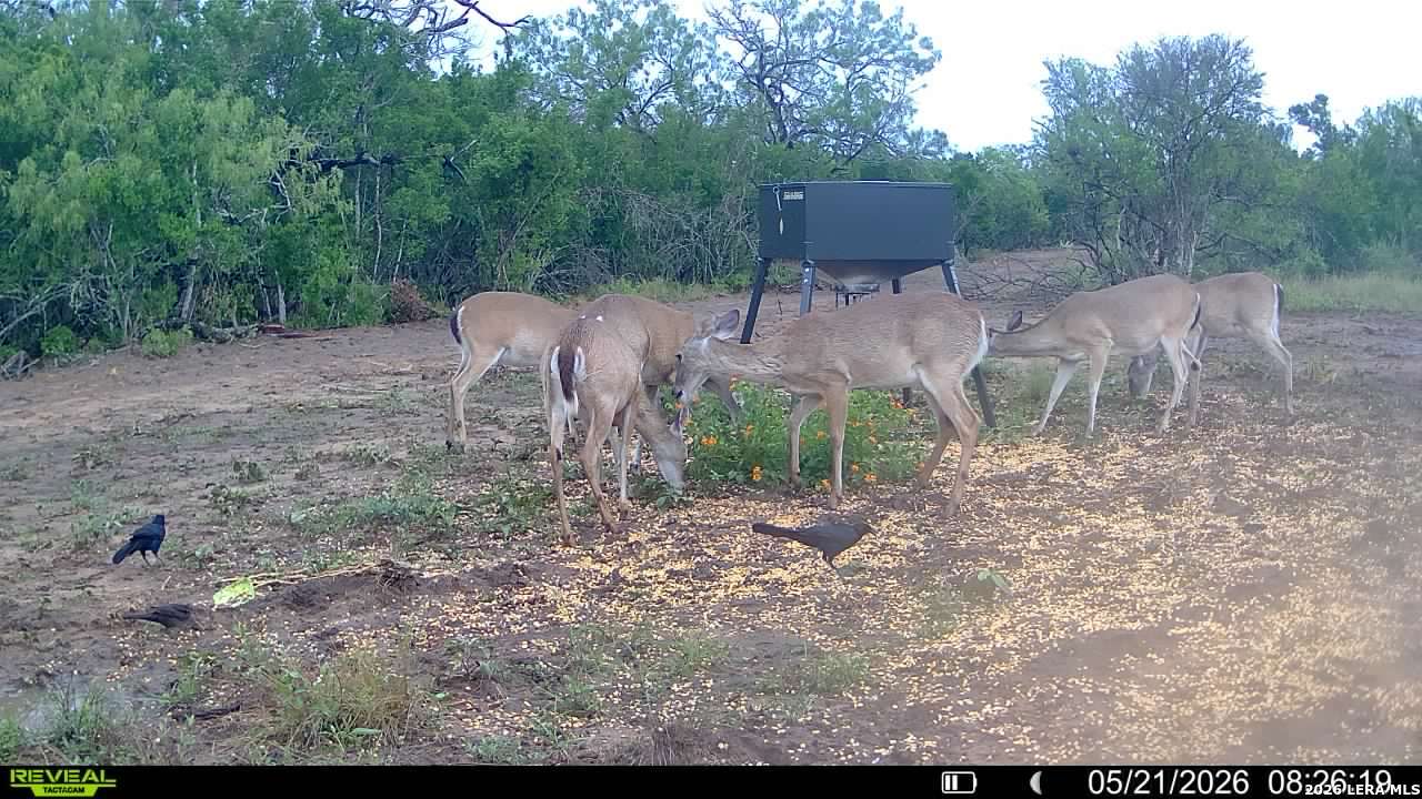 100 County Road 147 George West TX 78022