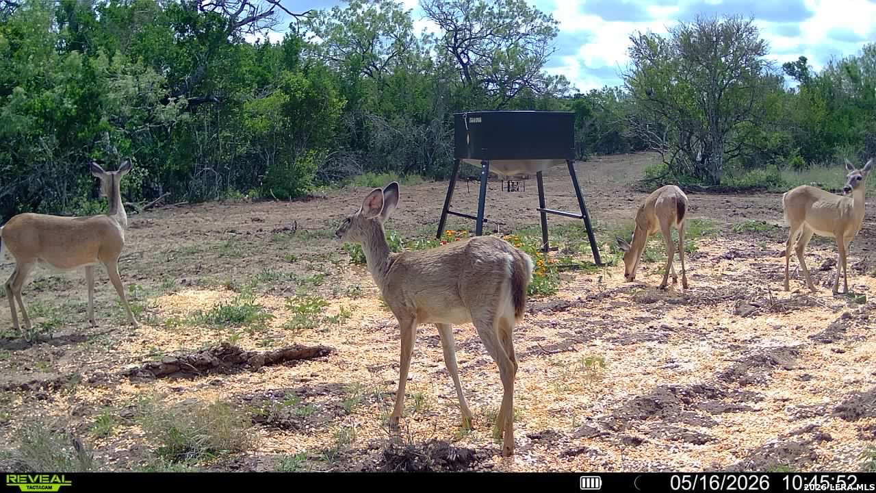 100 County Road 147 George West TX 78022