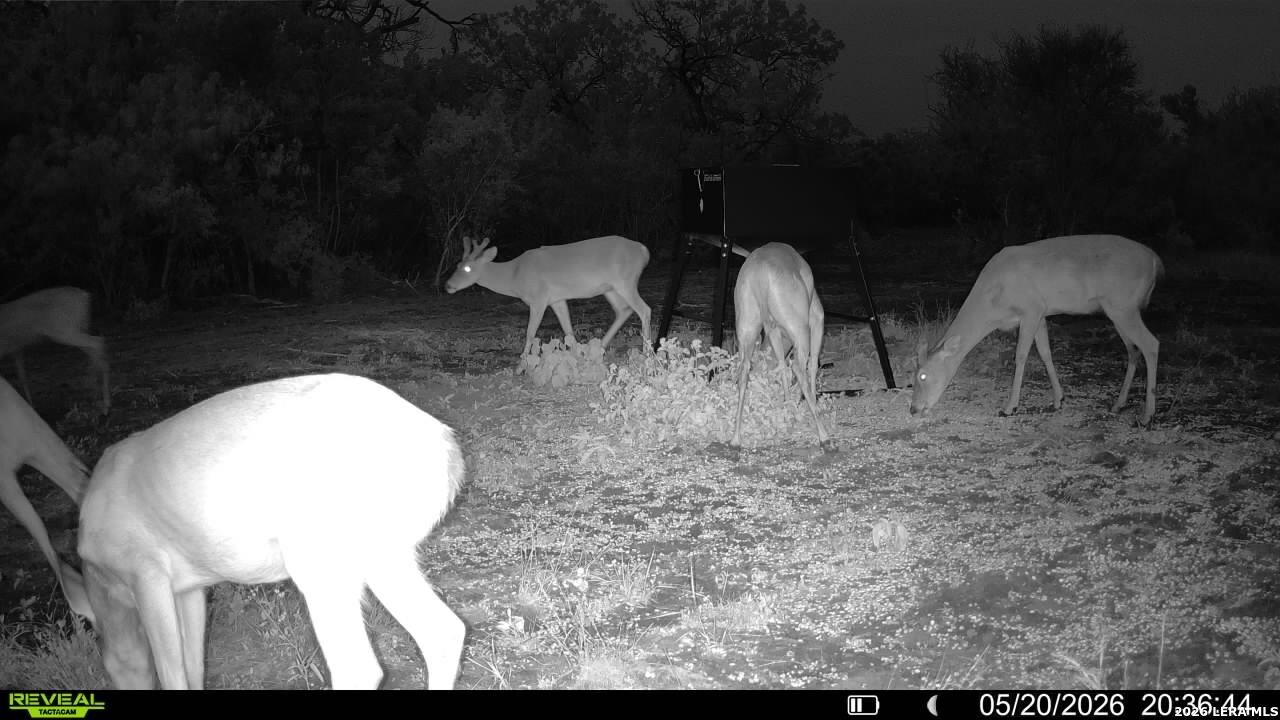 100 County Road 147 George West TX 78022