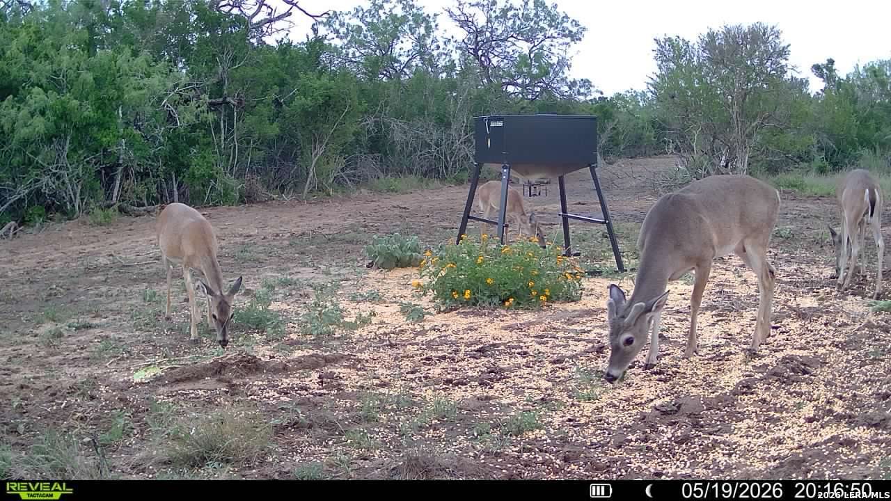 100 County Road 147 George West TX 78022