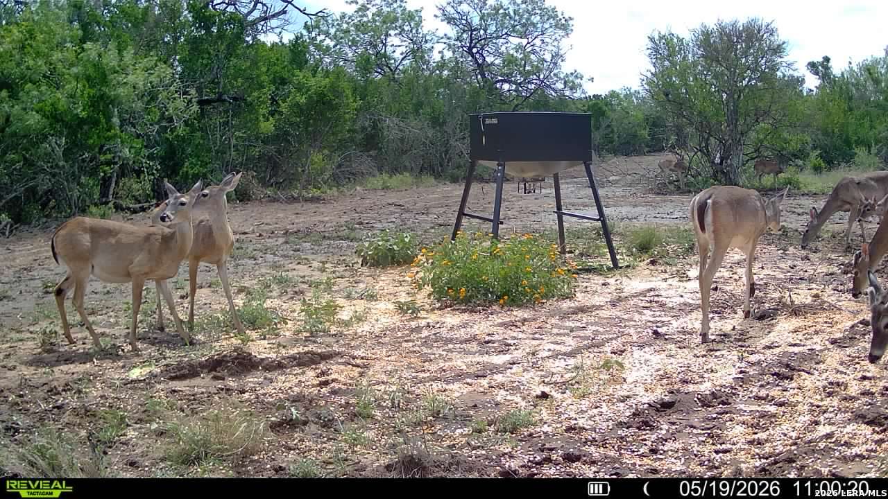 100 County Road 147 George West TX 78022