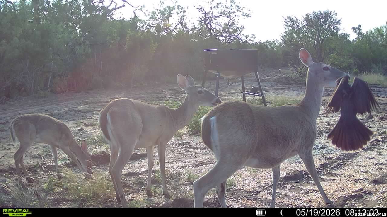 100 County Road 147 George West TX 78022