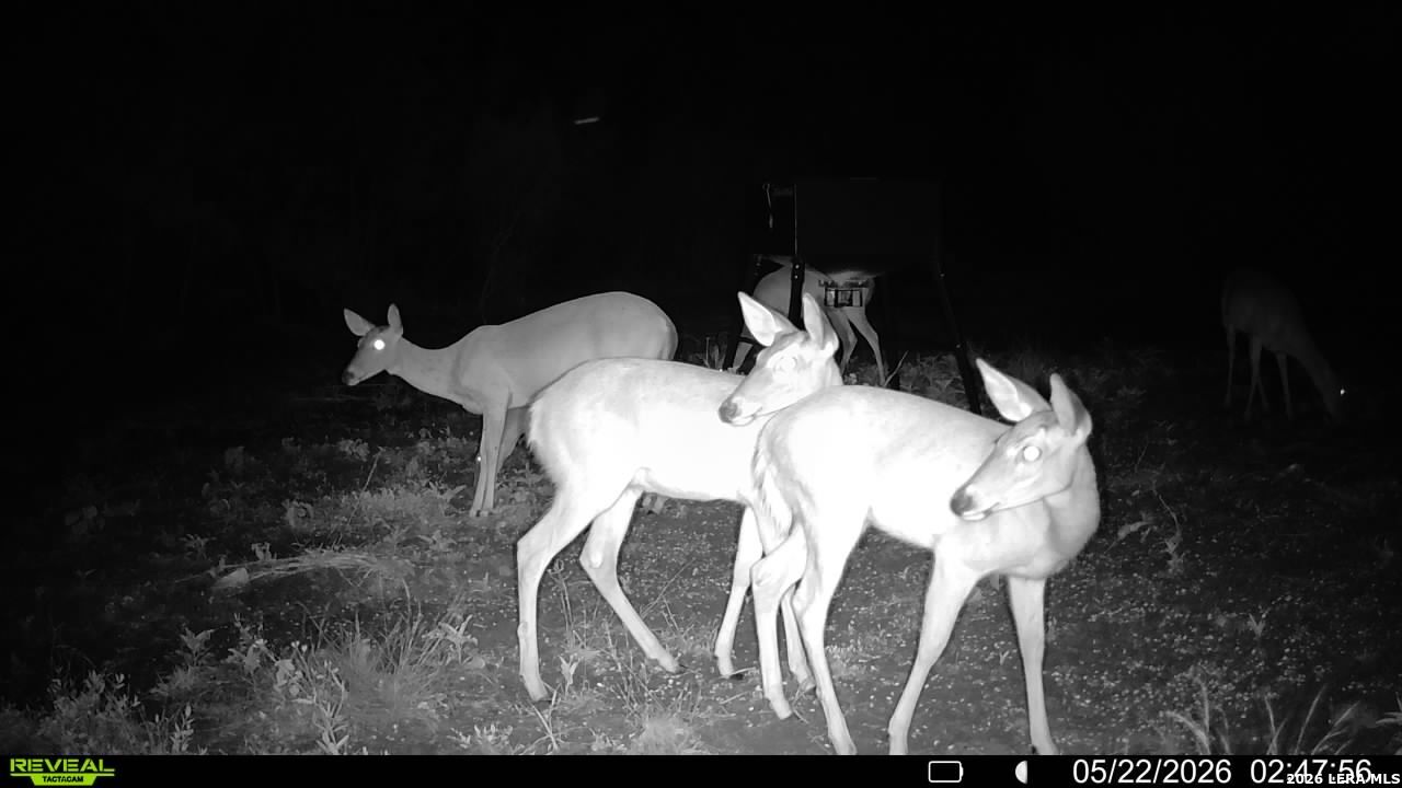 100 County Road 147 George West TX 78022
