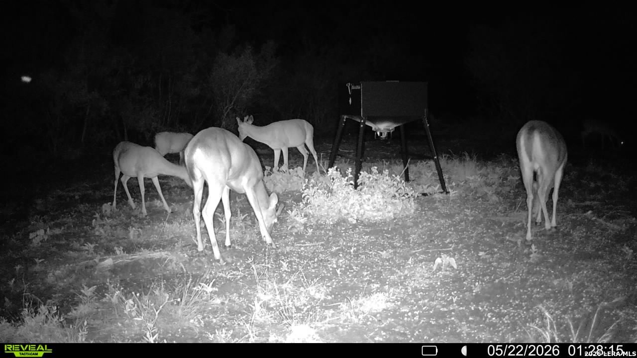 100 County Road 147 George West TX 78022