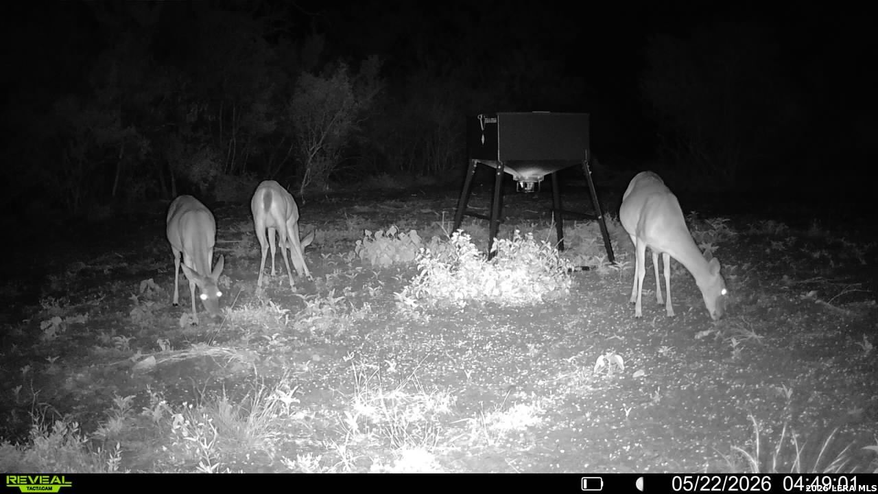 100 County Road 147 George West TX 78022