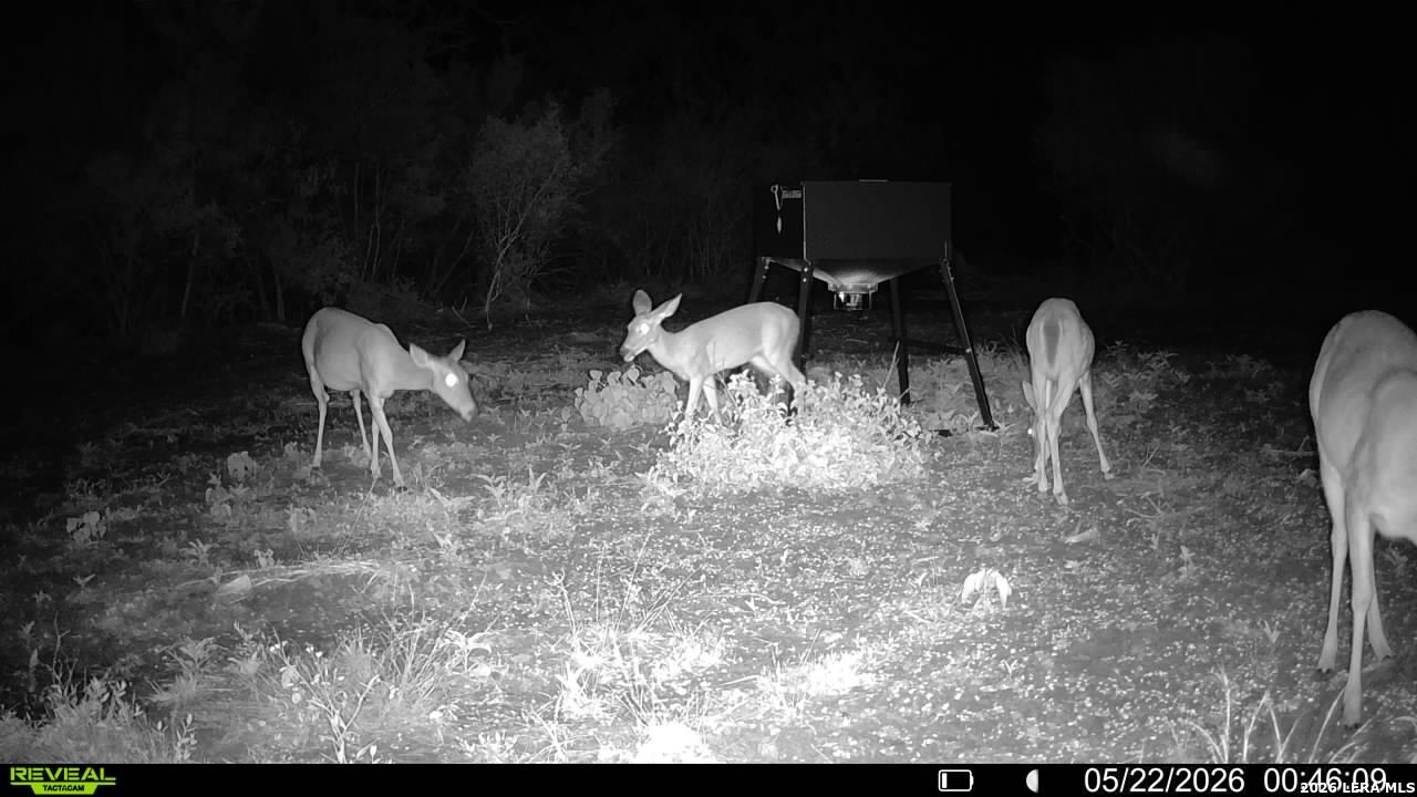 100 County Road 147 George West TX 78022