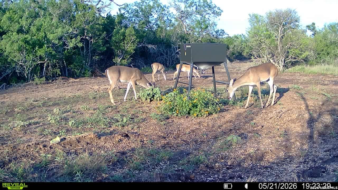 100 County Road 147 George West TX 78022