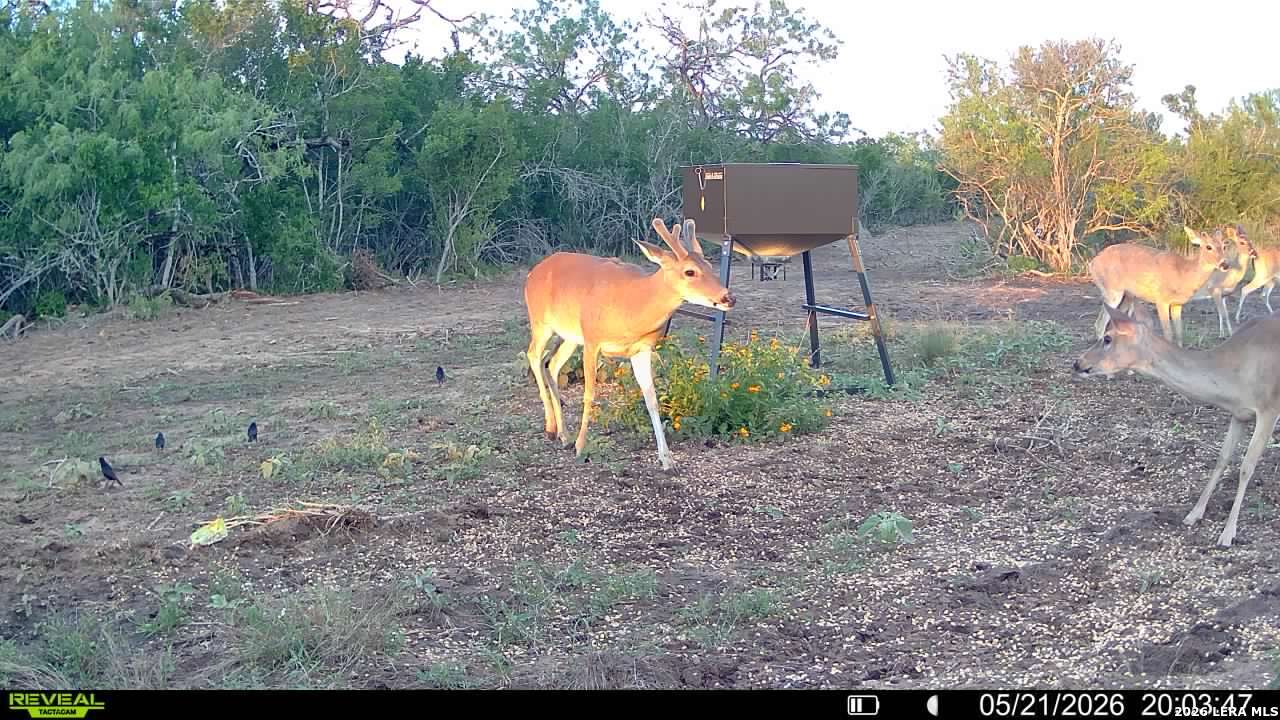 100 County Road 147 George West TX 78022