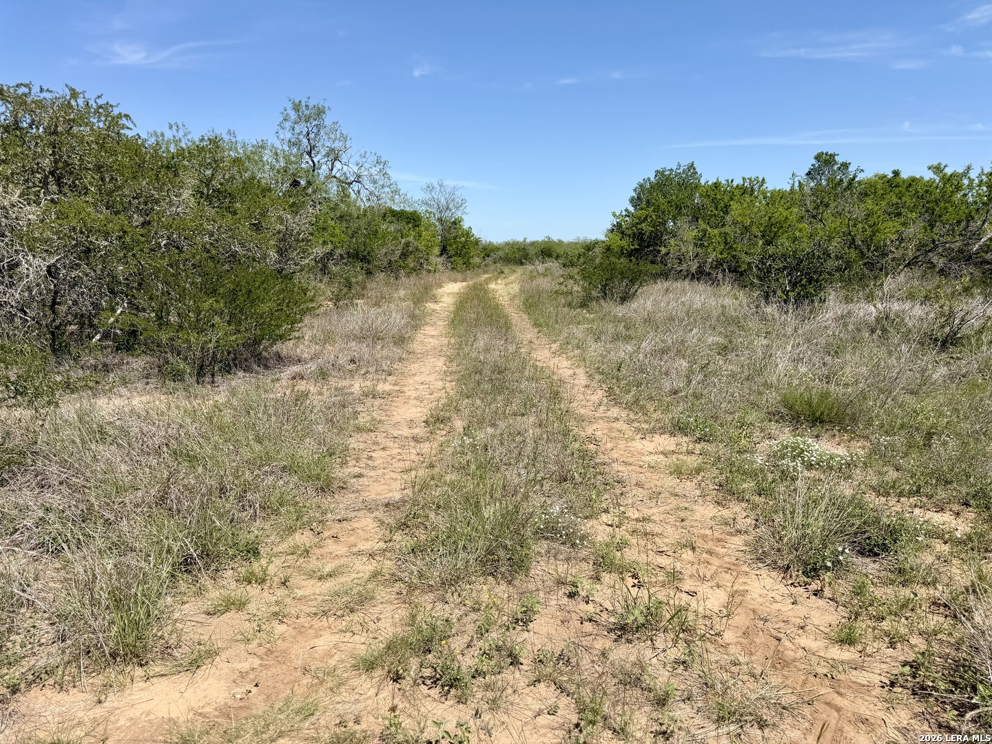 100 County Road 147 George West TX 78022