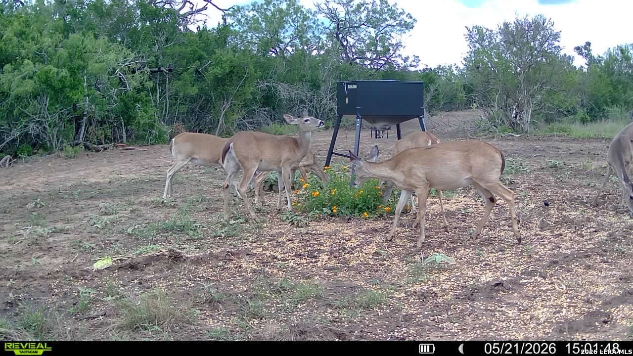 100 County Road 147 George West TX 78022