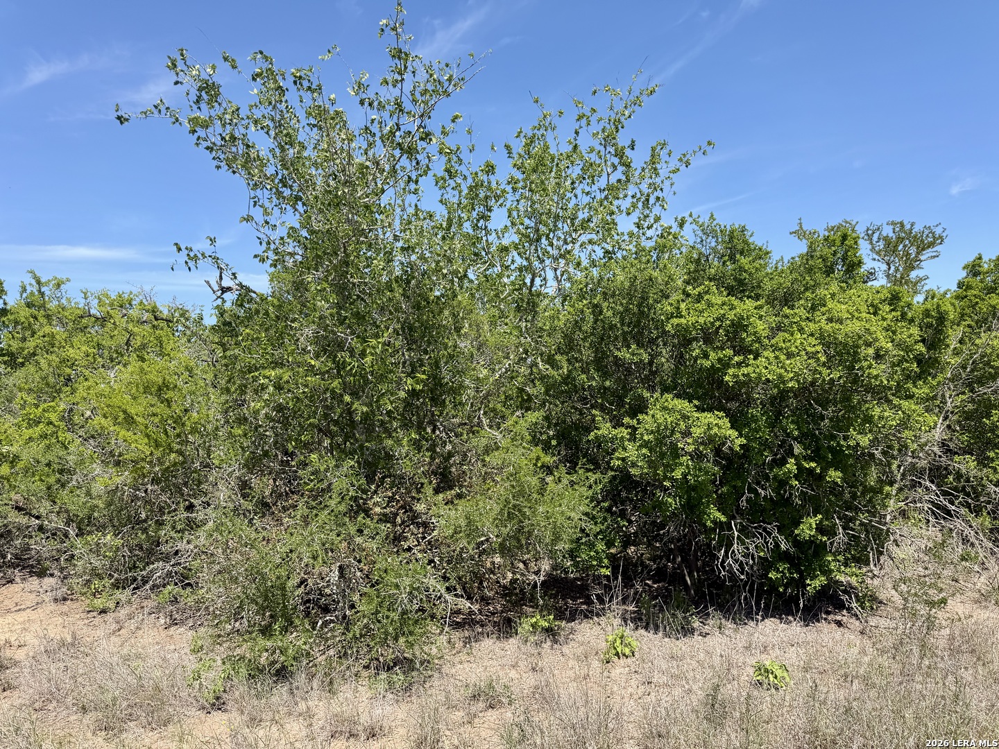 100 County Road 147 George West TX 78022