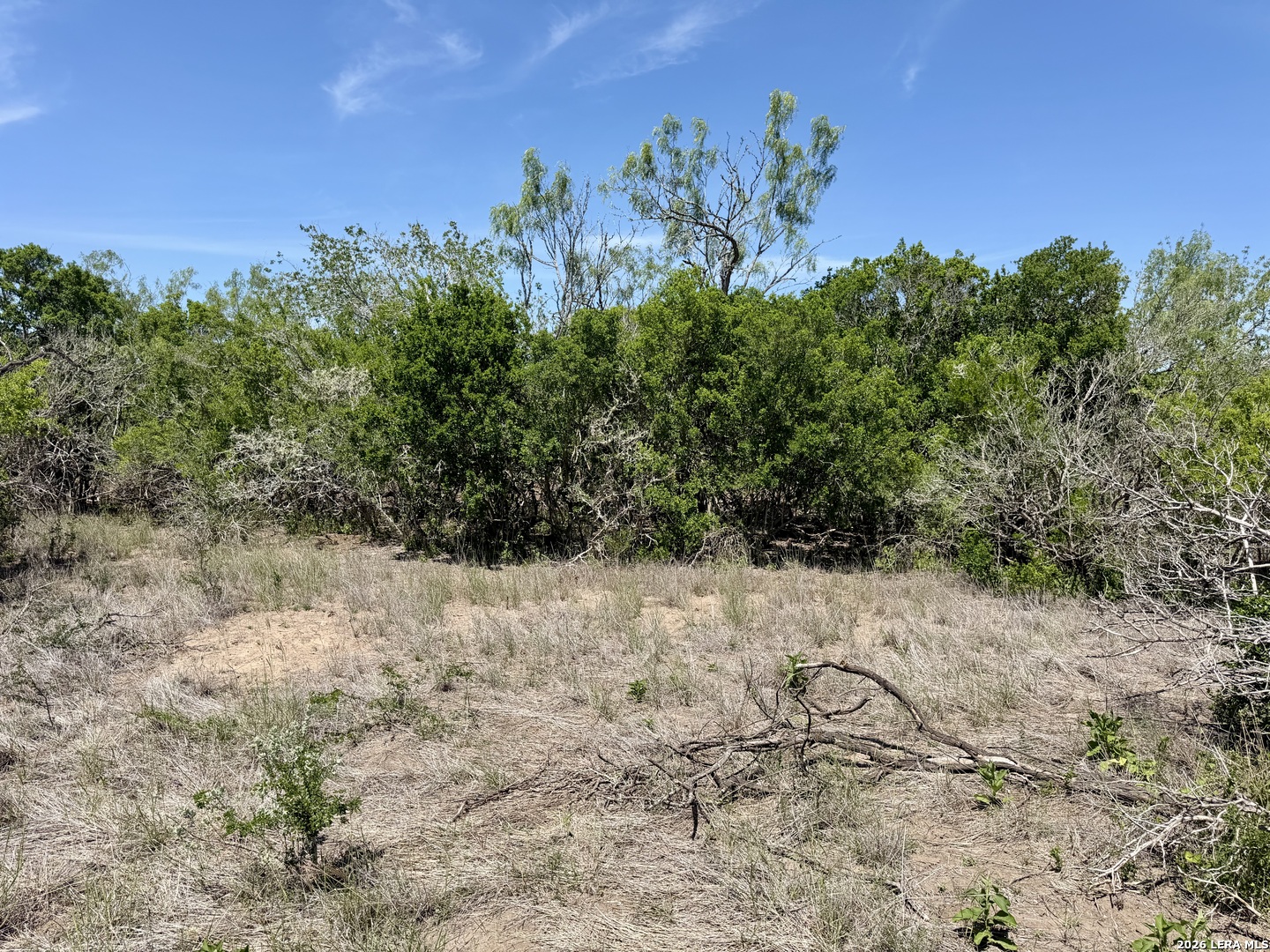 100 County Road 147 George West TX 78022