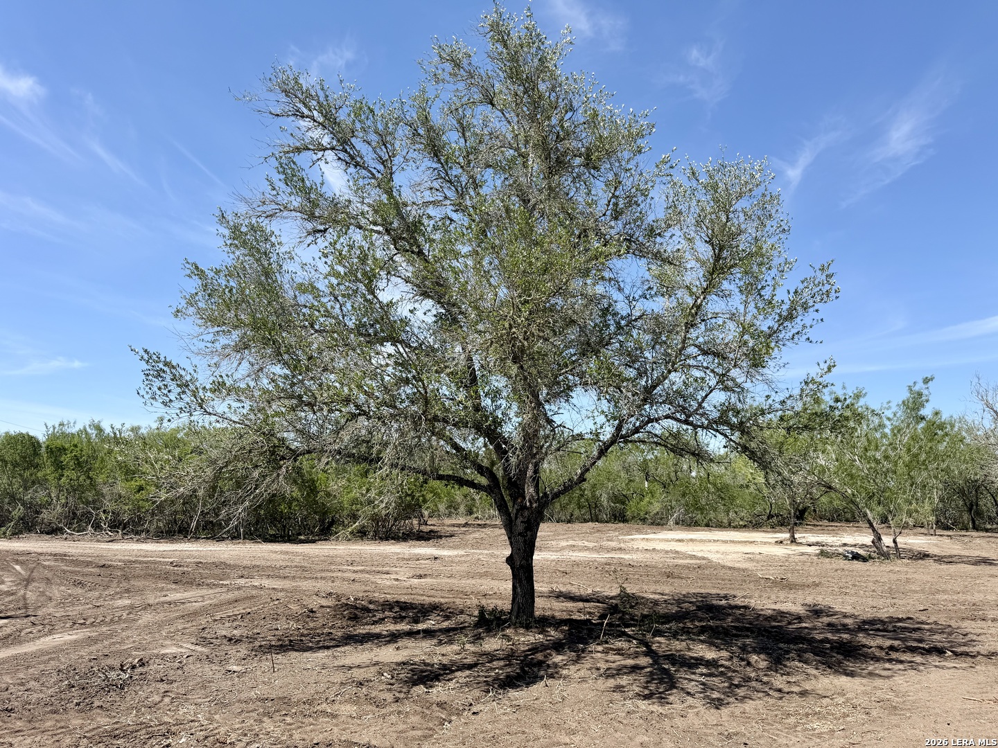 100 County Road 147 George West TX 78022
