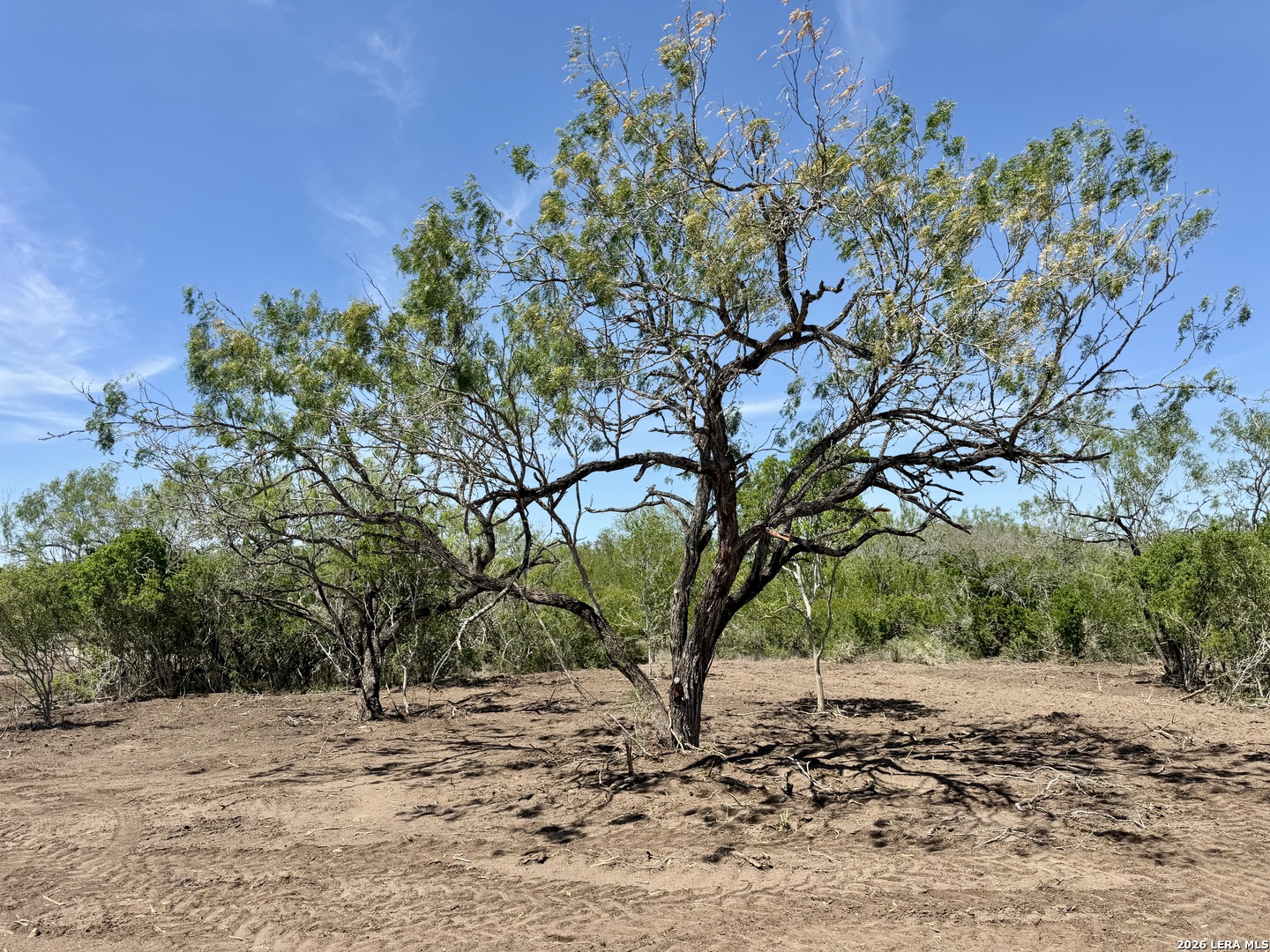100 County Road 147 George West TX 78022
