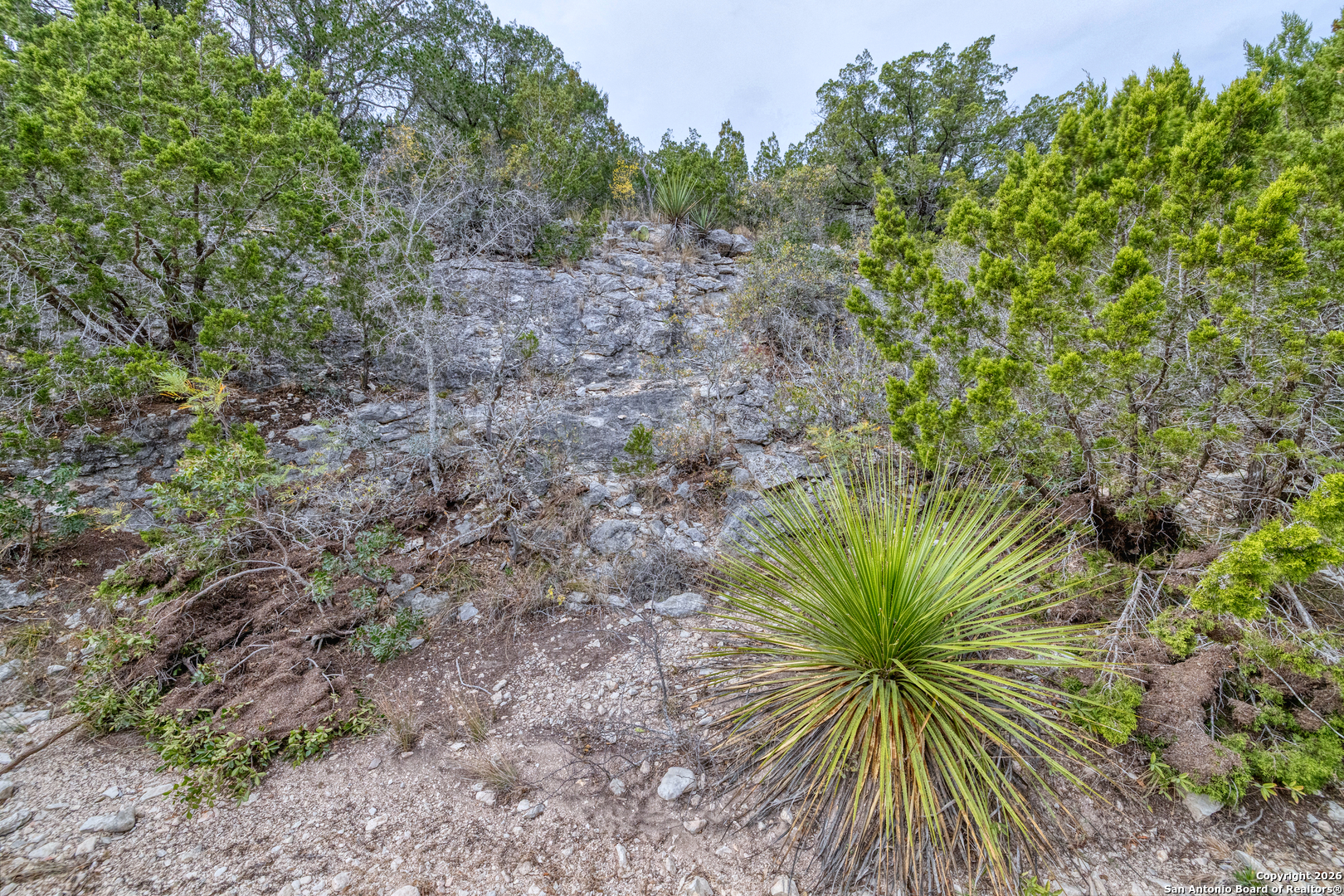 25 Sd 65065 Dusty Rose Ranch Rocksprings TX 78880