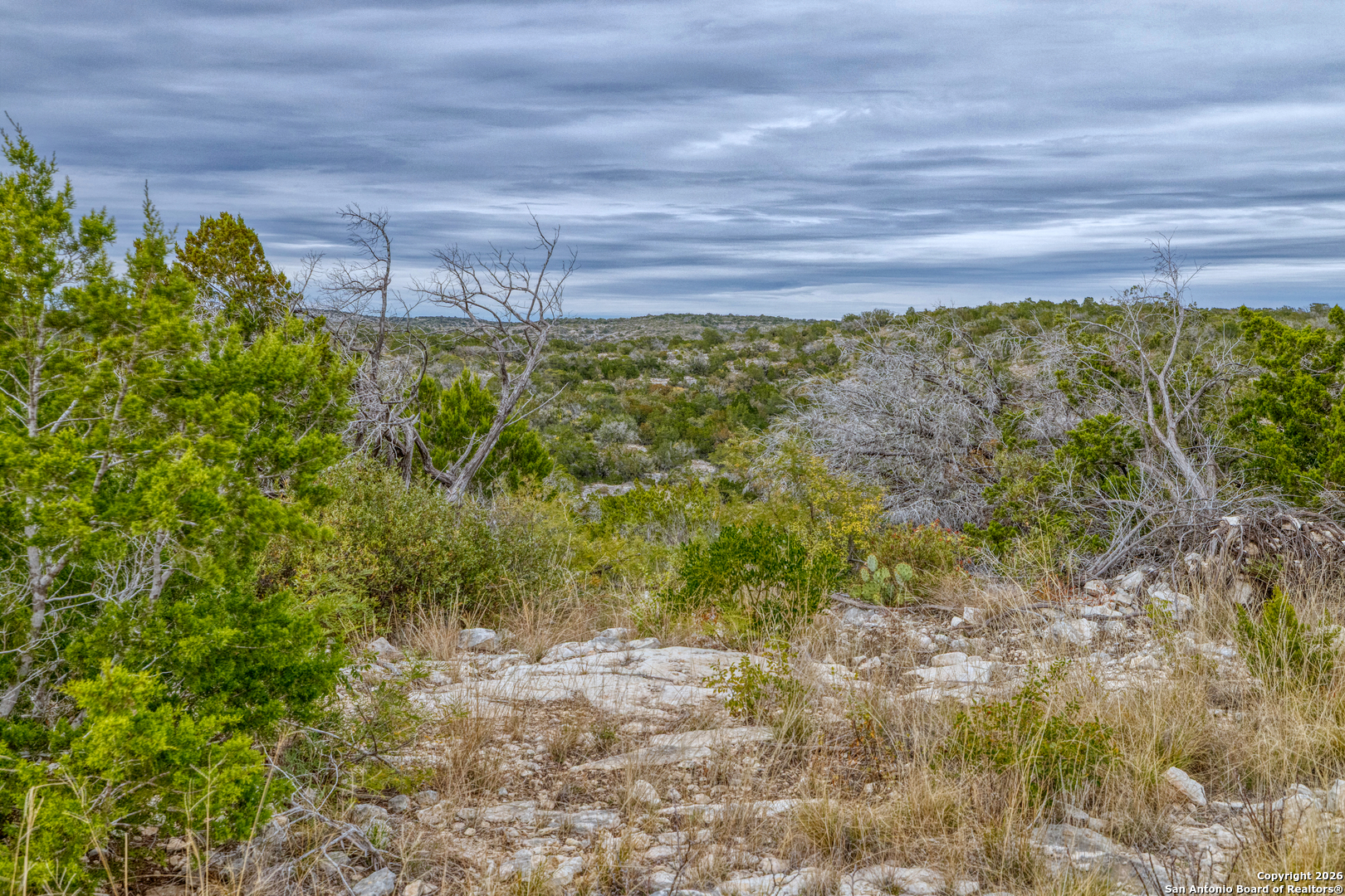 25 Sd 65065 Dusty Rose Ranch Rocksprings TX 78880