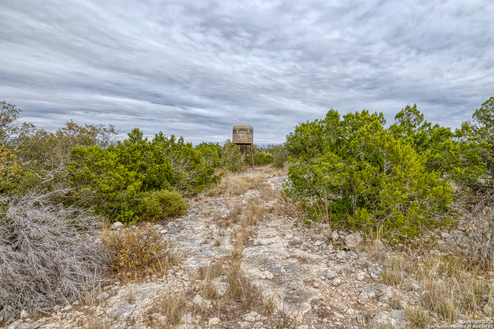 25 Sd 65065 Dusty Rose Ranch Rocksprings TX 78880