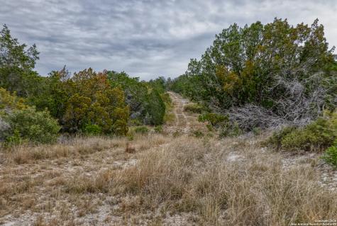 25 Sd 65065 Dusty Rose Ranch Rocksprings TX 78880