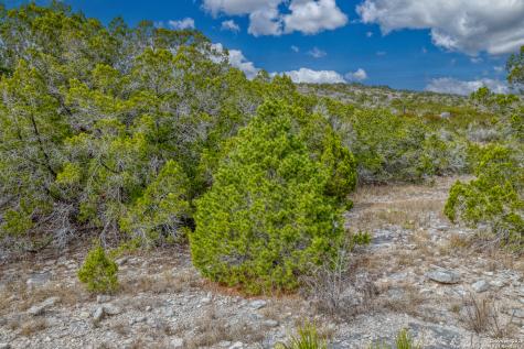 25 Sd 65065 Dusty Rose Ranch Rocksprings TX 78880