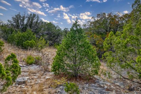 25 Sd 65065 Dusty Rose Ranch Rocksprings TX 78880