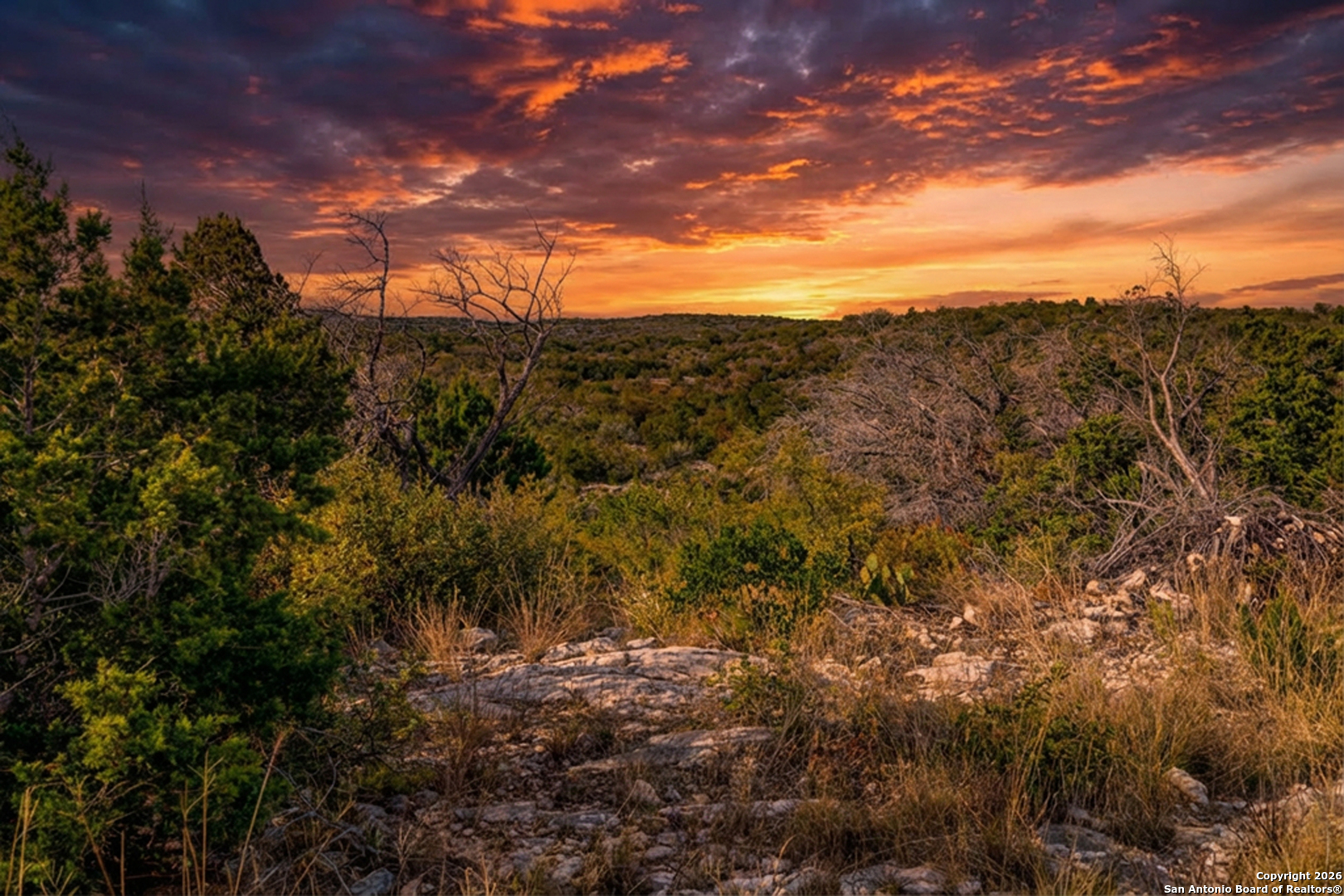 25 Sd 65065 Dusty Rose Ranch Rocksprings TX 78880